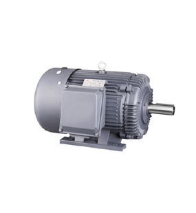 NEMA C design EPACT Three Phase Motor