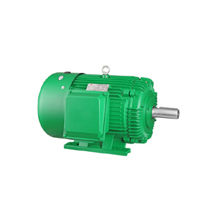 NEMA Design B Premium Efficiency Three Phase Motor