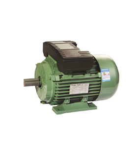 YL Series Motor