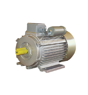 YC series motor