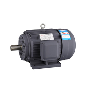 Y3 series motor