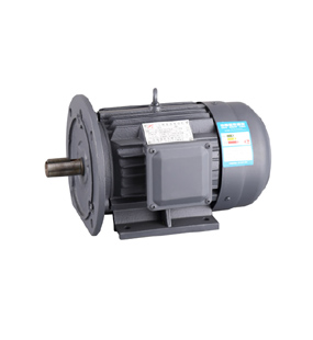 Y2 series motor