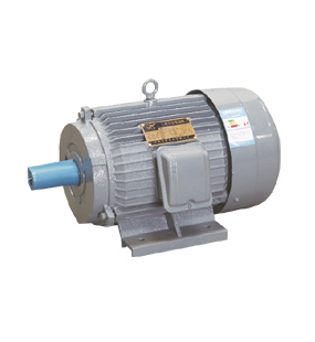 YD series motor