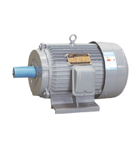 Y series motor