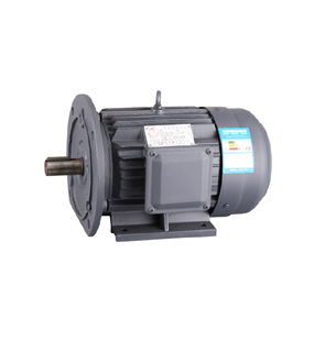 YE3 Series Premium Efficiency Three Phase Motor