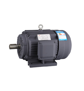 YE2 Series High Efficiency Three Phase Motor