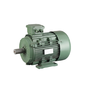 YE3 Series Premium Efficiency Three Phase Motor