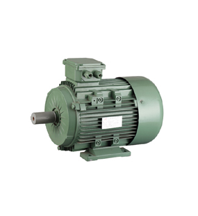 YE2 Series High Efficiency Three Phase Motor